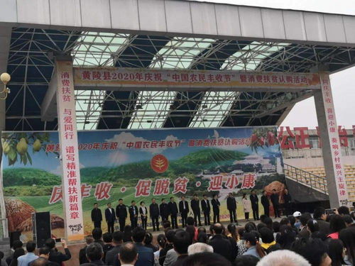 促增收，助脫貧——雙龍鎮參加全縣消費扶貧產品展銷會，開展經營助力打贏脫貧攻堅戰
